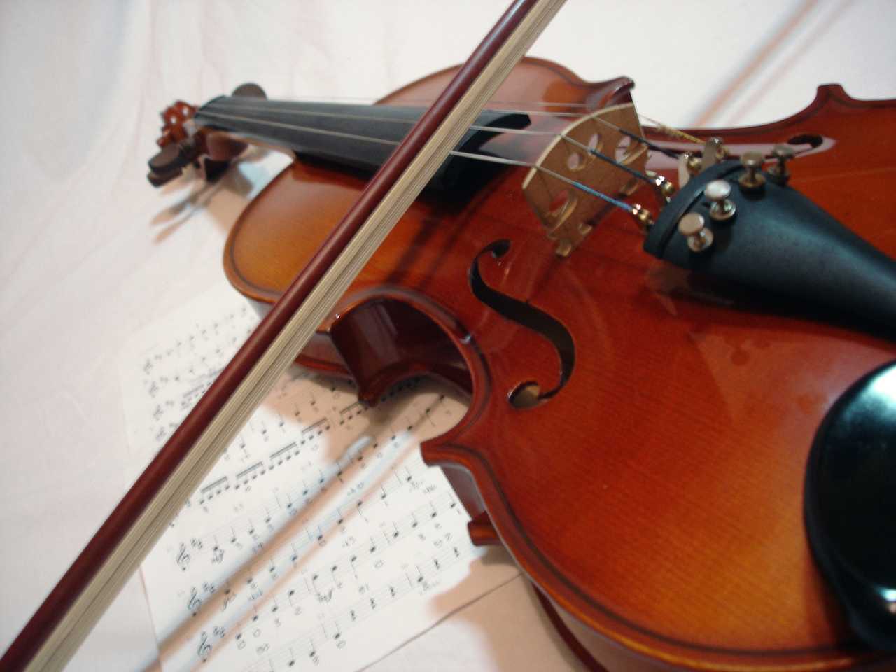Choosing The Right Violin Accessories - CIOMIT