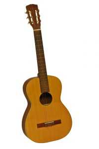 isolated acoustic guitar