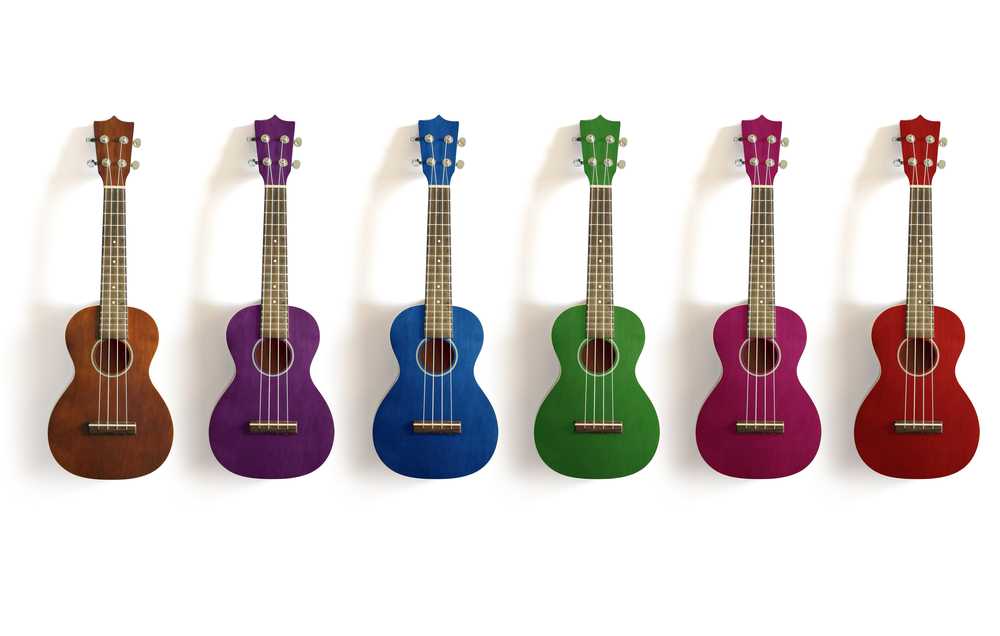 What are the Different Types of Ukuleles? – Elderly Instruments