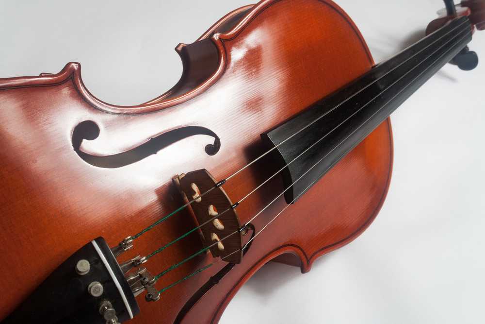 a-young-violist-s-guide-to-buying-a-viola