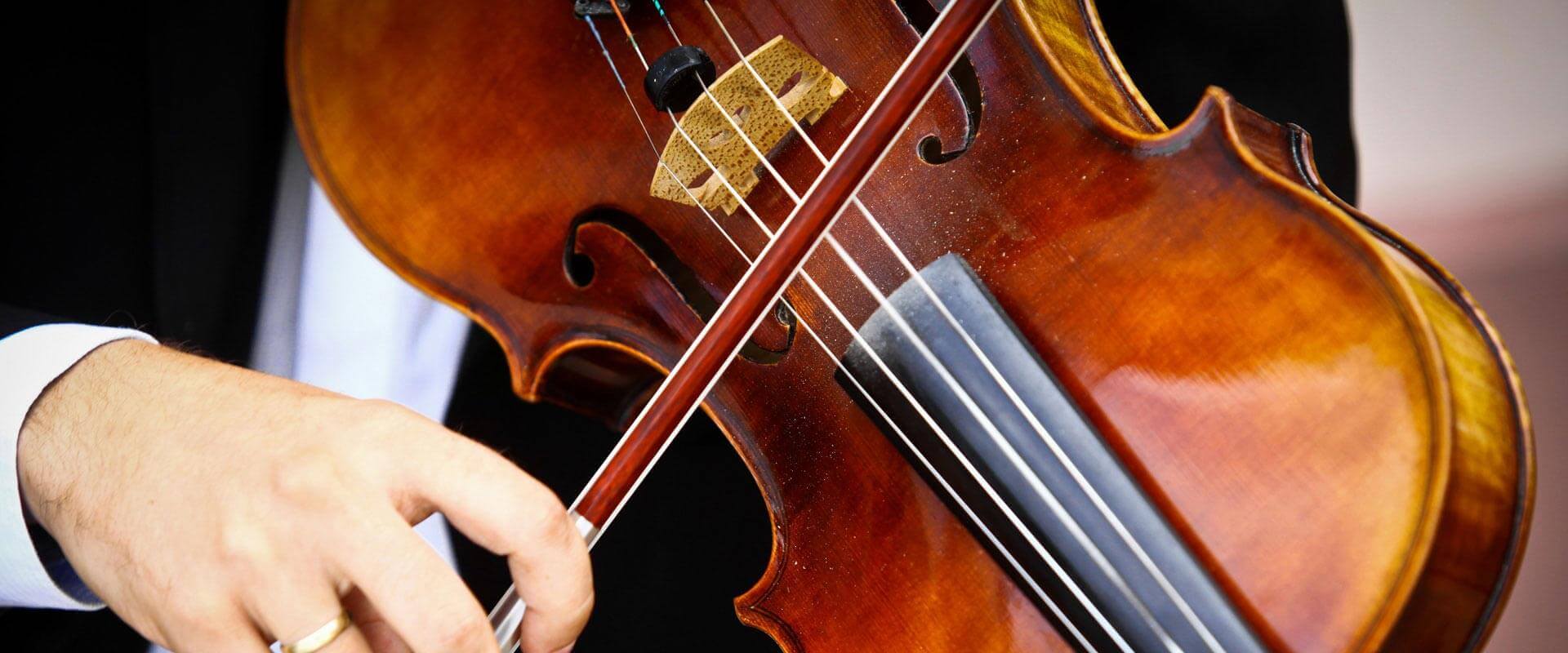 Viola Lessons in Lexington KY - Musika Music Teachers